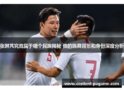 张琳芃究竟属于哪个民族揭秘 他的族裔背景和身份深度分析