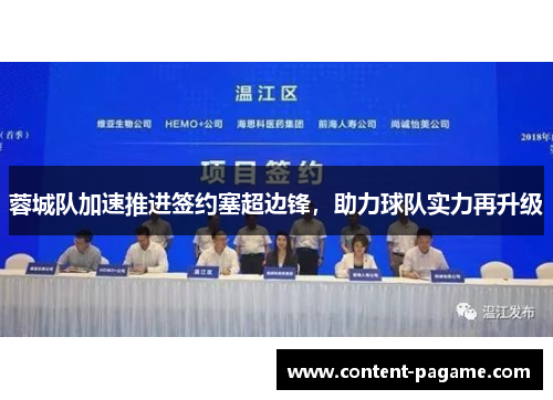 蓉城队加速推进签约塞超边锋，助力球队实力再升级