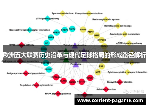 欧洲五大联赛历史沿革与现代足球格局的形成路径解析