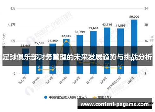 足球俱乐部财务管理的未来发展趋势与挑战分析 足球俱乐部财务管理的未来发展趋势与挑战分析