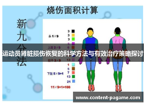 运动员肾脏损伤恢复的科学方法与有效治疗策略探讨