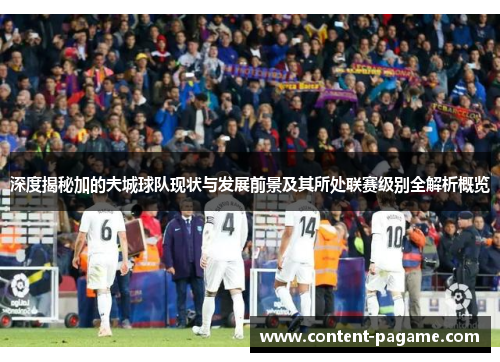 深度揭秘加的夫城球队现状与发展前景及其所处联赛级别全解析概览 深度揭秘加的夫城球队现状与发展前景及其所处联赛级别全解析概览